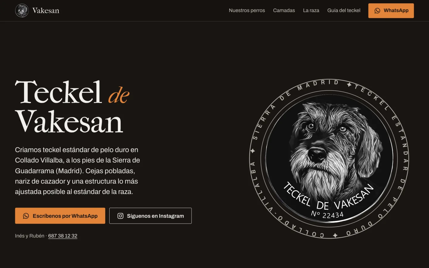 Web del criadero Teckel de Vakesan diseñada por Feroba
